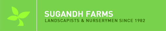 Sugandh Farms
